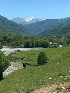 Дедовский двор - 37