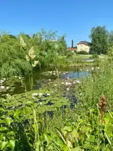 Ладожская Усадьба - 74