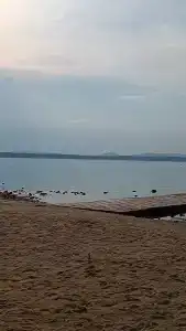Солнечная поляна - 62