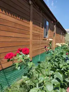 Солнечный Остров - 49