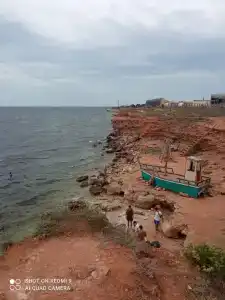 Розмарин - 16