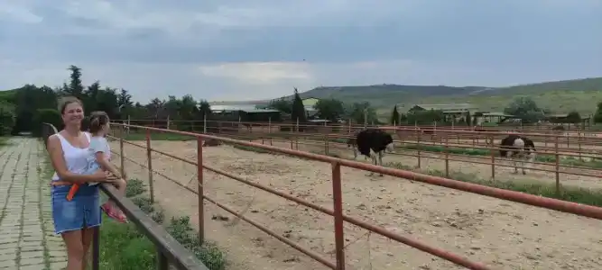 Страусиная ферма Экзотик - 28