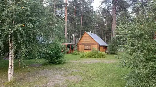 Заимка у Катуни - 15