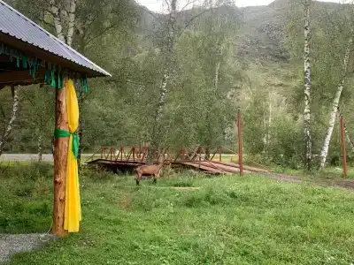 Алтын - 3