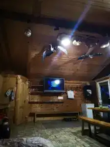 У Борисыча - 60