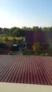 Династия - 45