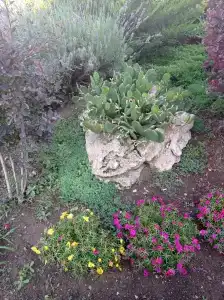 Островок - 17