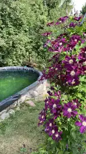 Маришкин дом - 6