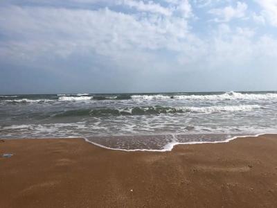 Простоквашино на Азове - 84