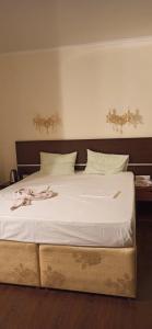 Горгиппия - 50