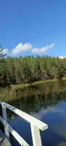 Чёрное озеро - 17
