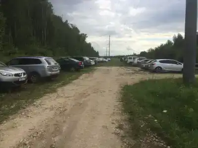 Мультиферма - 26