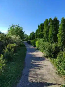 7 мостов - 36