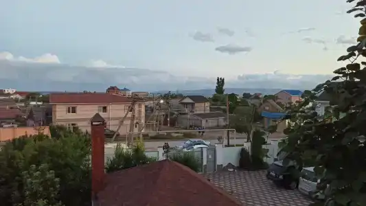 Флора - 13