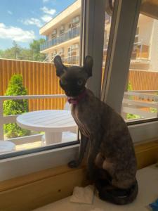 БухтаБарахта - 48