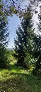 Горная Кубань - 68
