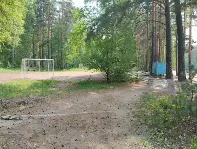 Лесная - 3