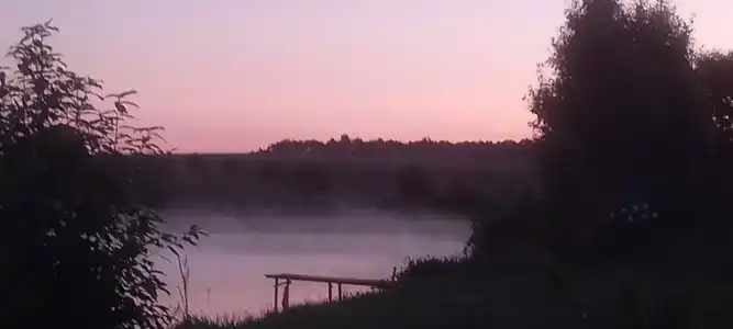 Золотая рыбка - 57