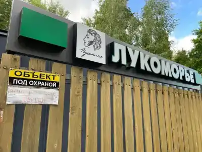 Лукоморье - 86