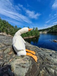 Юрта Лахти - 18