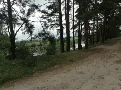 Белые бугры - 87