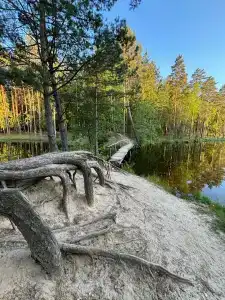 Железинка - 3