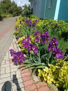 Пансионат Солнечный - 36