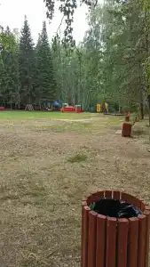 Солнечная поляна - 32