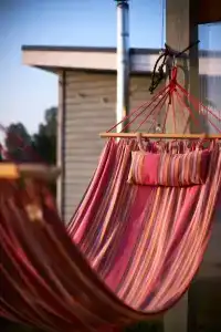 Карелия Парк - 26