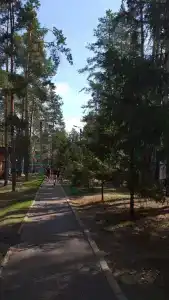Сура - 65