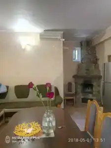 Сосна и Пальмы - 3