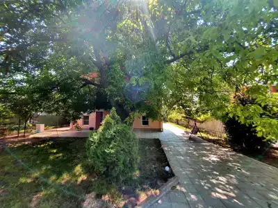 Виктори - 20