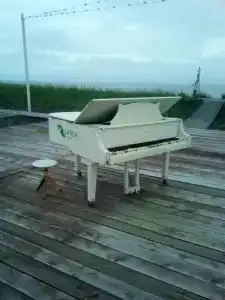 Пансионат Светлячок - 30