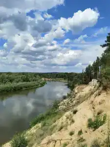Чайка - 17