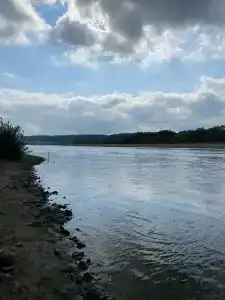 Приокские Зори - 53