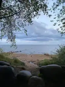 Белое солнце - 93