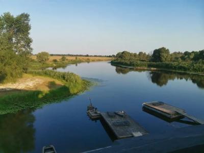 Панский сад - 48