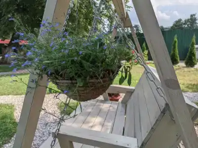 Тихая Гавань - 31