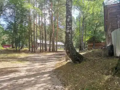 Экологическая база ННГУ - 31