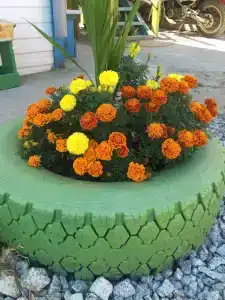 Андреевские паруса - 43