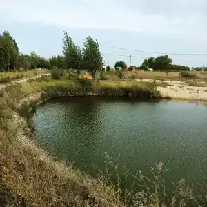 Ерши - 40