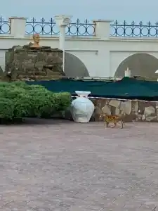 Рыбацкий причал - 22