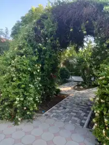 Солнышко - 50