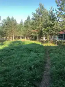Сегежа Парк - 75