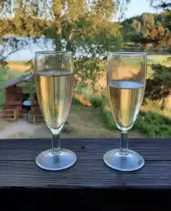 Микли-Ольгино - 50