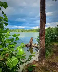 Стеклянный берег - 11