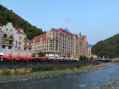 Голден Тюлип - 9