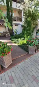 Алмаз - 47