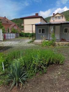 Светлана - 31