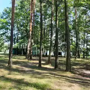 Белое озеро - 19